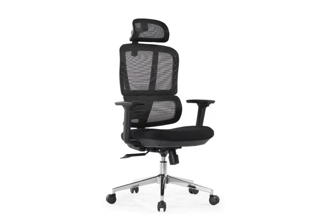 Ghế công thái học One Chair VGL312